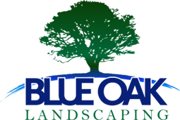 Blue Oak Landscaping | Chico Landscaping | Pavers | Walkways